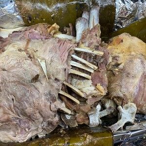 Meet your Posher, Luna monvilleda